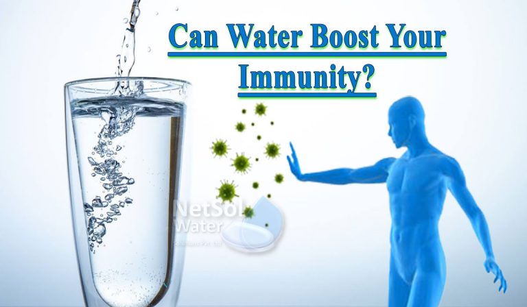 Commercial RO Plants: How Water Helps in Boosting Your Immunity