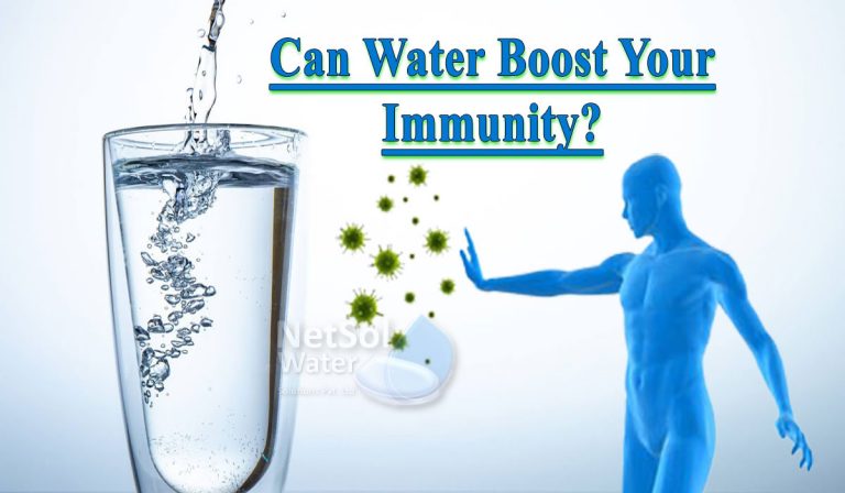 Commercial RO Plants: How Water Helps in Boosting Your Immunity