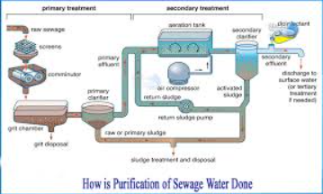 What are the Steps Of Water Purification Of Process ?