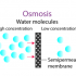 What is osmosis and reverse osmosis?
