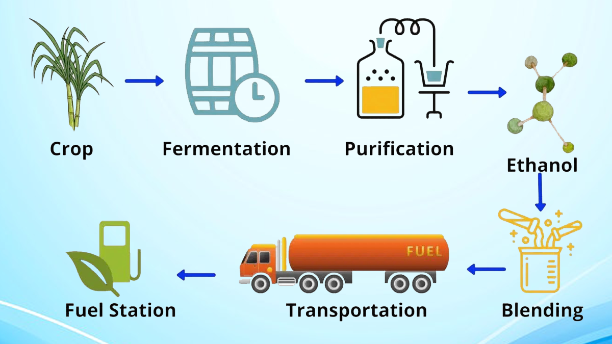 What is the process of biofuel manufacturing