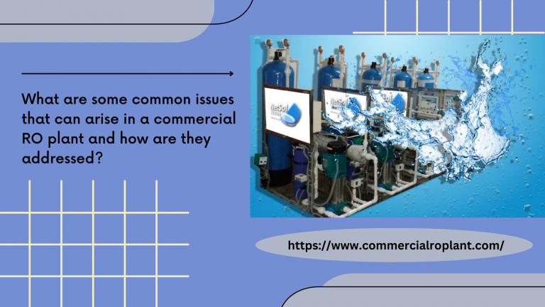 What are some common issues that can arise in a commercial RO plant and how are they addressed?