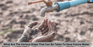 What Are The Various Steps That Can Be Taken To Save Future Water Crisis In India