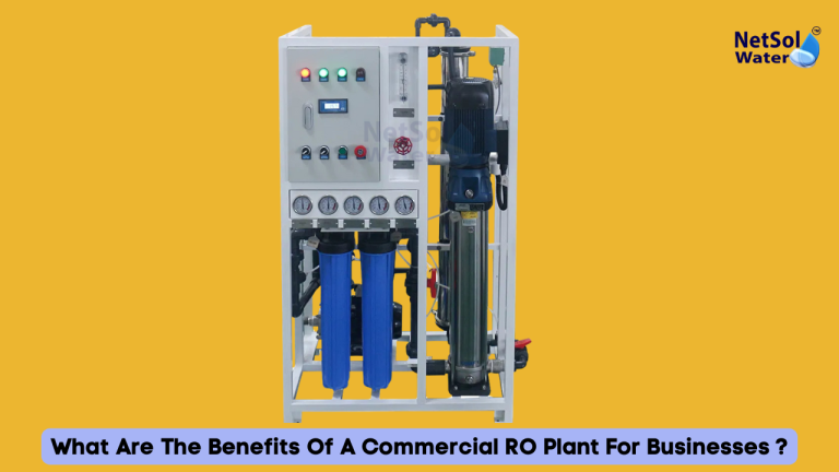 What Are The Benefits Of A Commercial RO Plant For Businesses ?