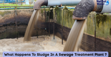 What Happens To Sludge In A Sewage Treatment Plant ?