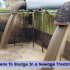 What Happens To Sludge In A Sewage Treatment Plant ?