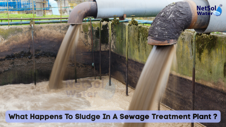 What Happens To Sludge In A Sewage Treatment Plant ?