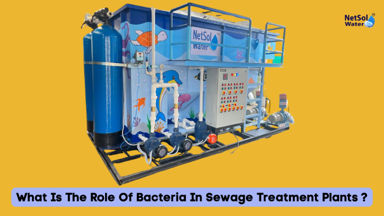 What Is The Role Of Bacteria In Sewage Treatment Plants ?