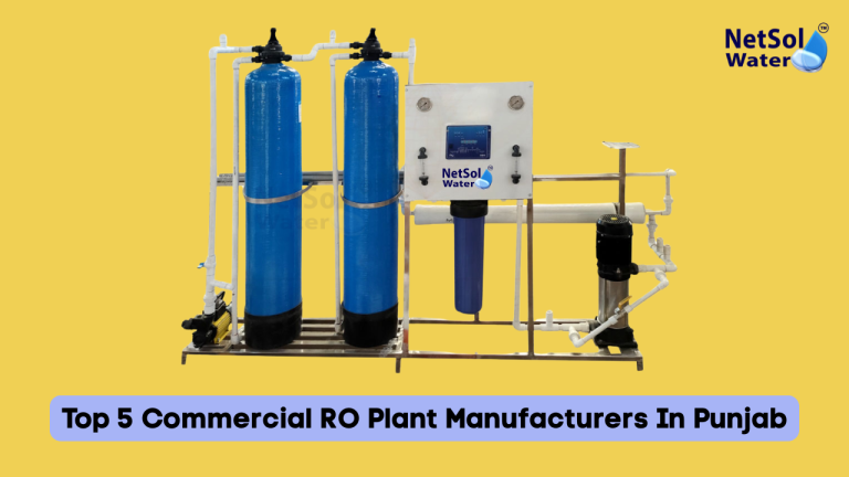 Top 5 Commercial RO Plant Manufacturers In Punjab
