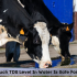 How Much TDS Level In Water Is Safe For Animals?