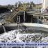 How To Reduce Sludge Volume In STP Plant?