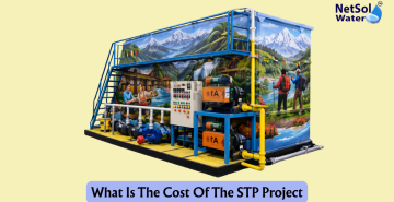 What Is The Cost Of The STP Project