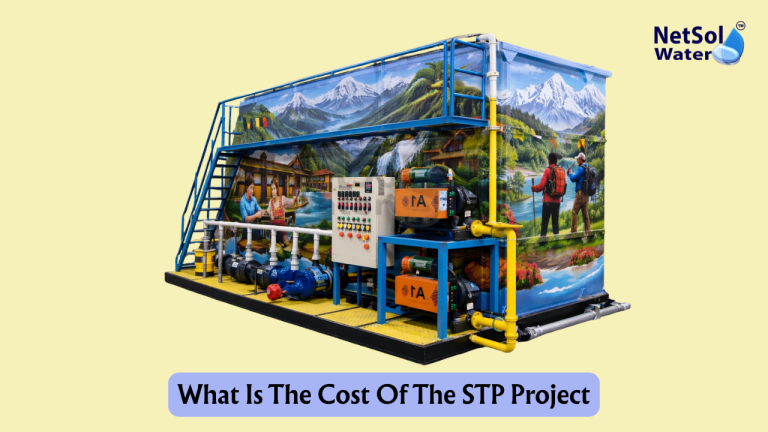 What Is The Cost Of The STP Project?