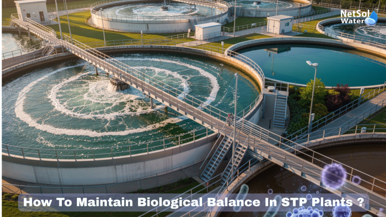 How To Maintain Biological Balance In Sewage Treatment Plants ?