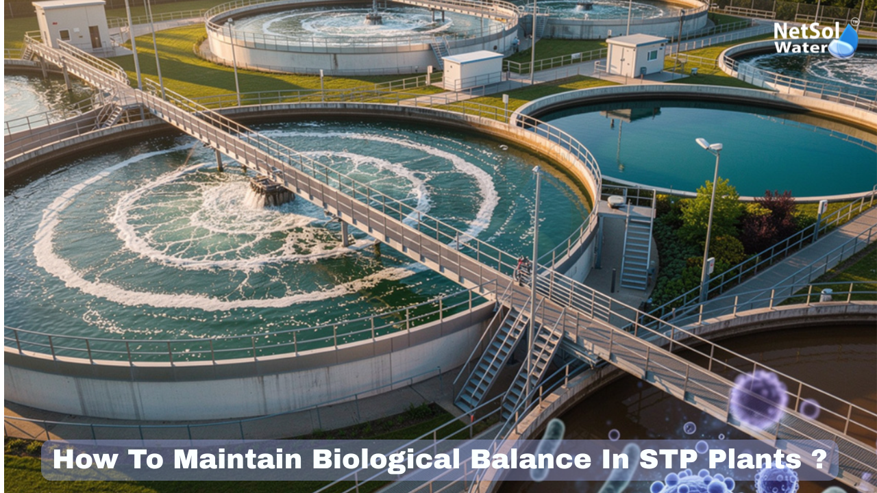 How To Maintain Biological Balance In Sewage Treatment Plants ?