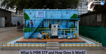What Is MBR STP and How Does It Work?